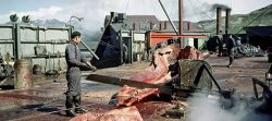 Britain's Whale Hunters