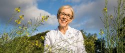 Taste of the Yorkshire Dales