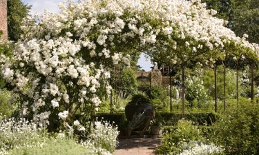 Sissinghurst