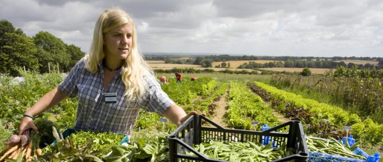 Sissinghurt