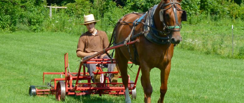 Living with the Amish