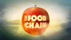 The Food Chain