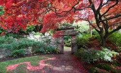 Gardens in Time