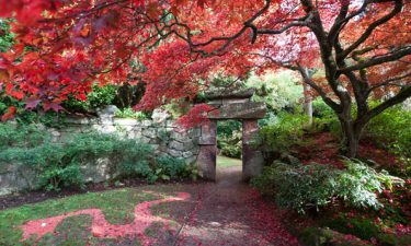 Gardens in Time