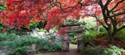 Gardens in Time