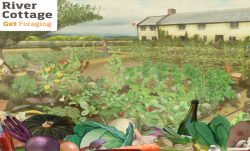 River Cottage Get Foraging Game