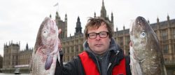 Hugh's Fish Fight