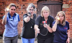 Ladykillers Pest Detectives