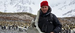 Britain's Whale Hunters