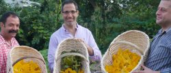 Ottolenghi's Mediterranean Feast