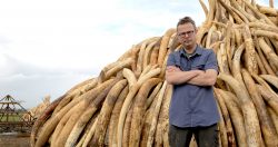 Saving Africa's Elephants Hugh and the Ivory War