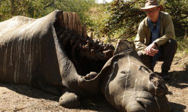 Saving Africa’s Elephants: Hugh and the Ivory War