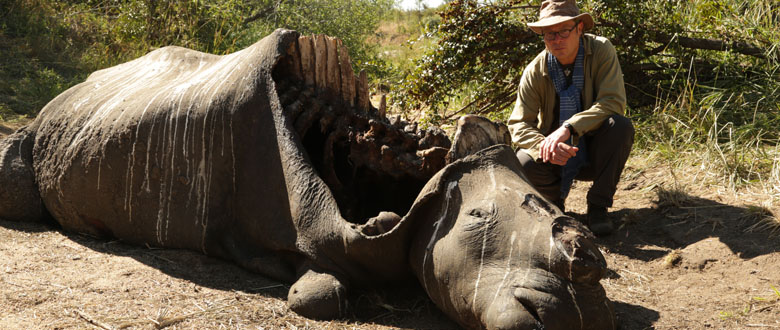 Saving Africa's Elephants Hugh and the Ivory War